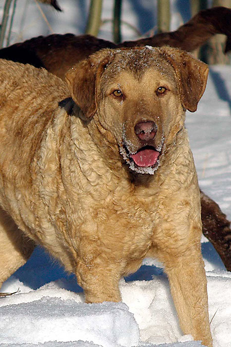 %_tempFileNameWinnie-snow-3%