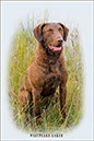 %_tempFileNameLaker%20portrait%