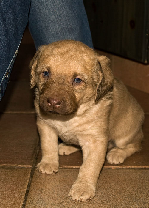 %_tempFileNameNikexRiley09-23%