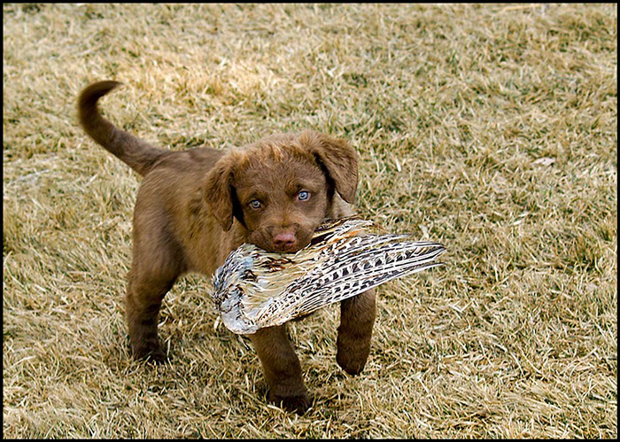 %_tempFileNameNikexRiley09-44%