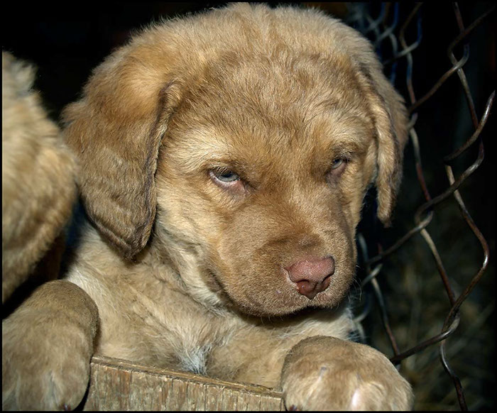 %_tempFileNameNikexRiley09-51%