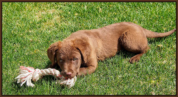 %_tempFileNameOrange-06%