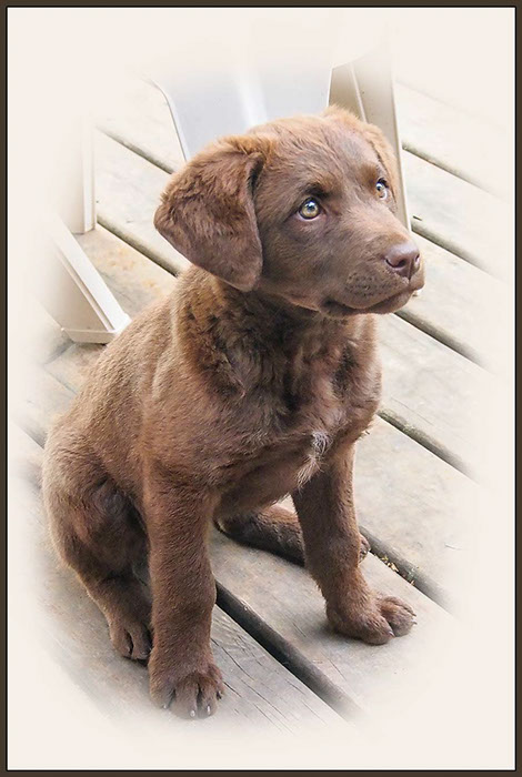 %_tempFileNameOrange-15%