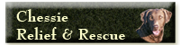 Relief and rescue