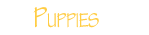 puppies buttons