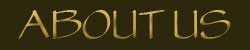 about us title